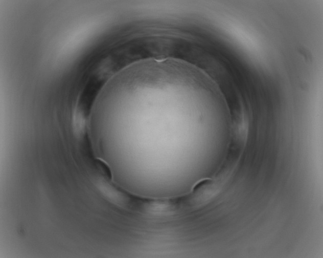 X0000115590574200911101240