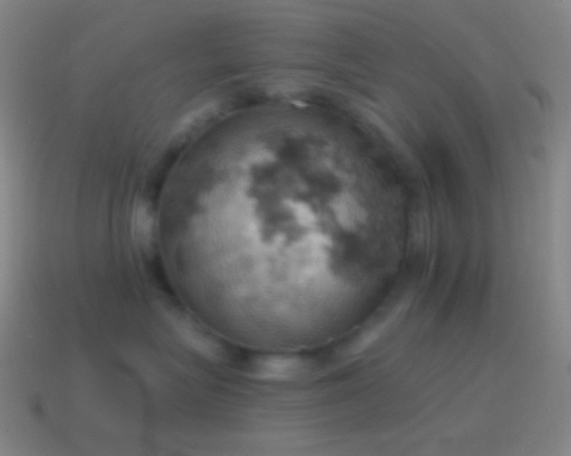 X0000115590575200911101240