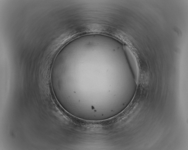X0000115590577200911101240