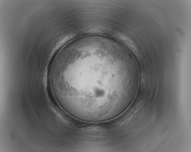 X0000115590578200911101240