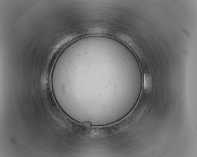 X0000115590579200911101240