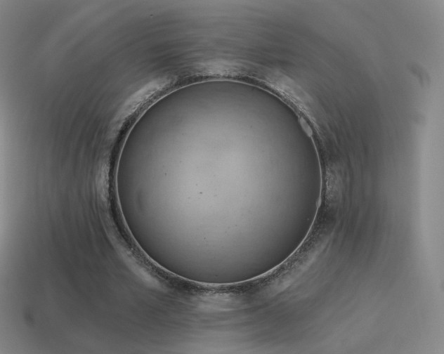 X0000115590581200911101240
