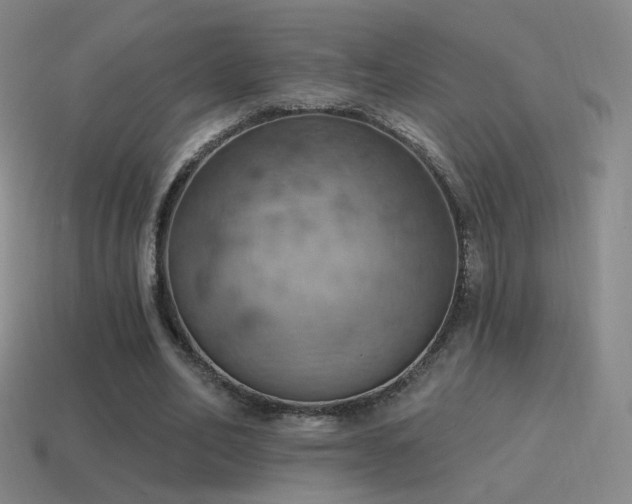 X0000115590582200911101240