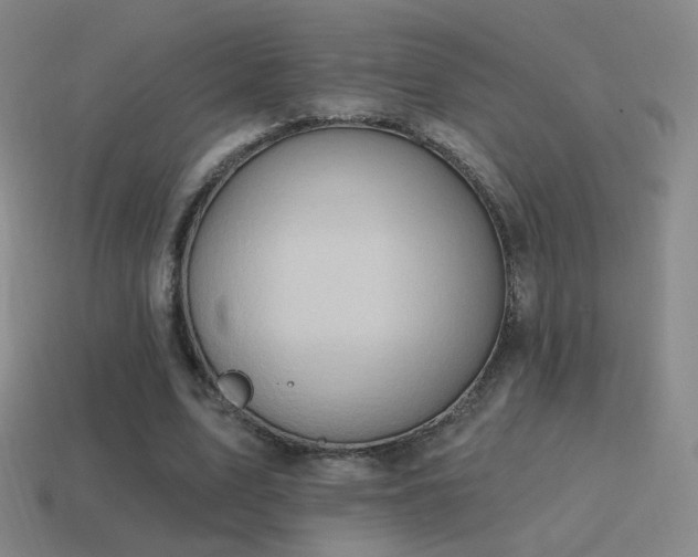 X0000115590583200911101240