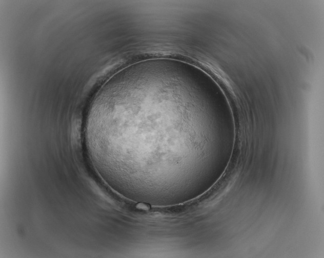 X0000115590585200911101240