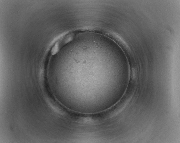 X0000115590588200911101240