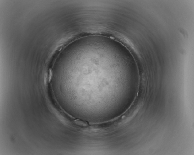 X0000115590589200911101240