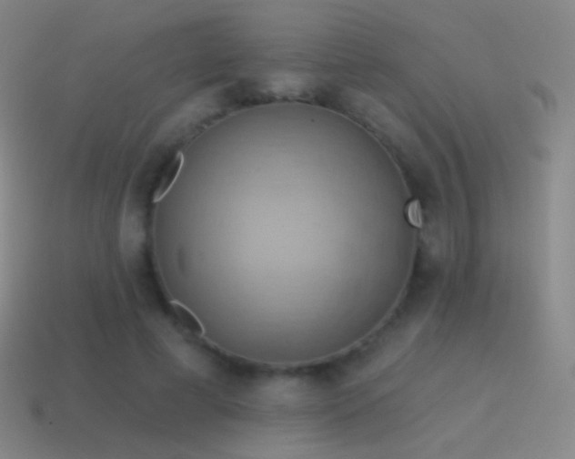 X0000115590593200911101240