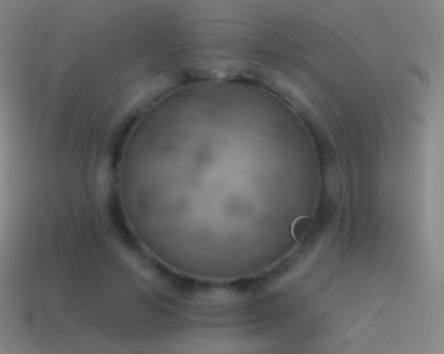 X0000115590594200911101240