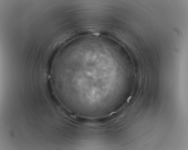 X0000115590595200911101240