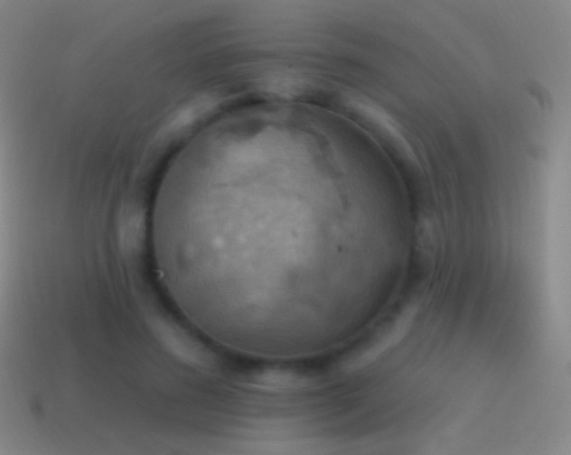 X0000115590596200911101240