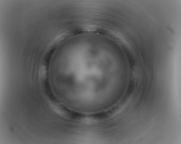 X0000115590598200911101240