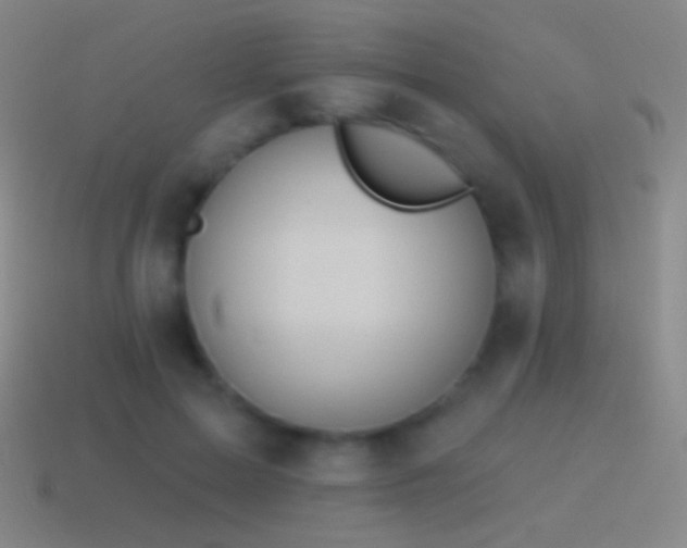 X0000115590599200911101240