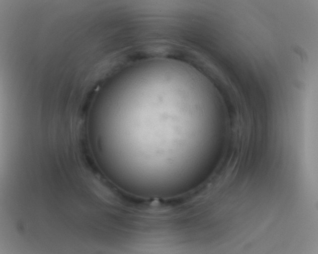 X0000115590601200911101240