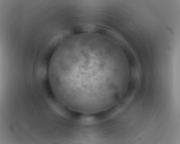 X0000115590602200911101240