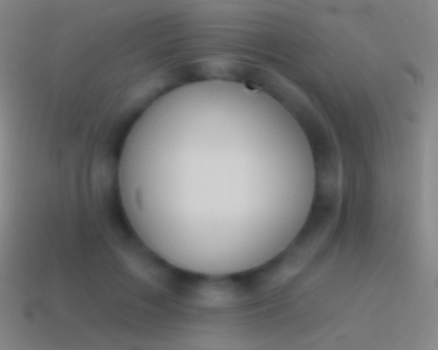 X0000115590603200911101240