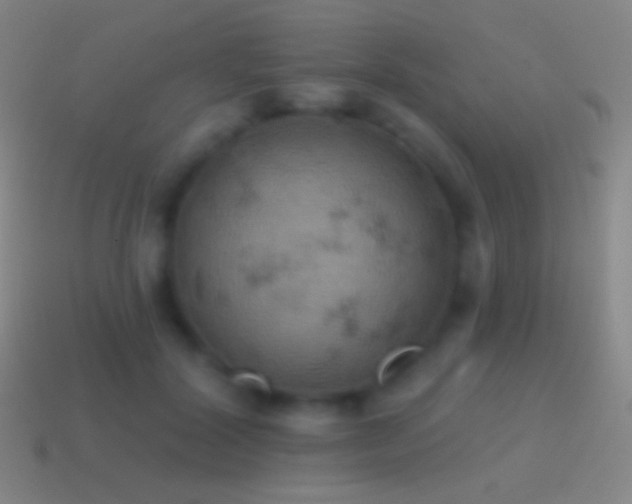 X0000115590604200911101240
