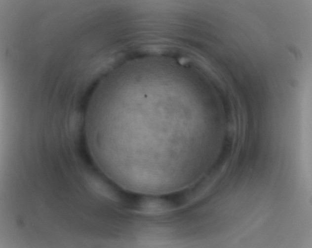 X0000115590605200911101239