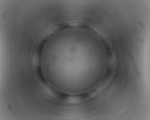 X0000115590606200911101239