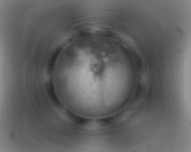 X0000115590607200911101239