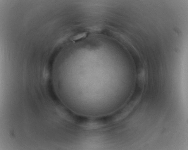 X0000115590608200911101239