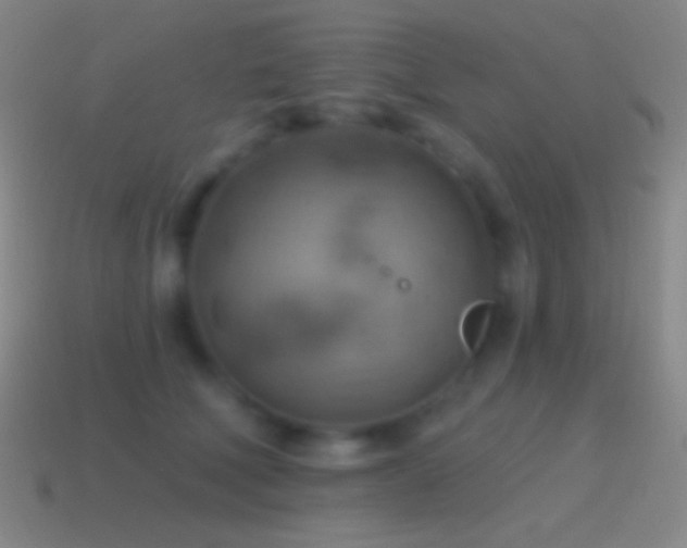 X0000115590610200911101239