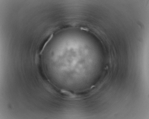 X0000115590611200911101239