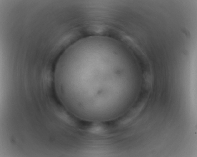 X0000115590612200911101239