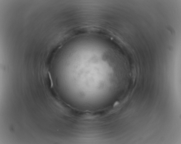 X0000115590613200911101239