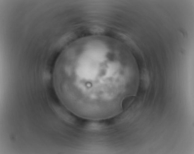 X0000115590614200911101239