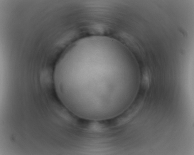 X0000115590616200911101239