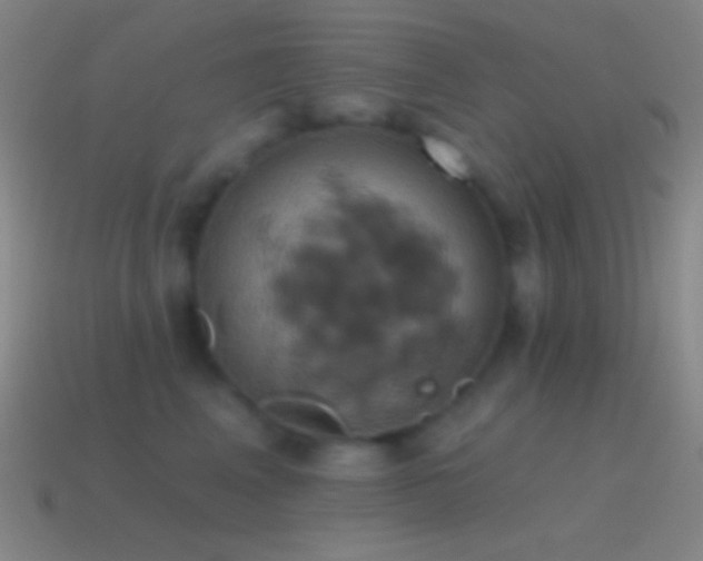 X0000115590617200911101239