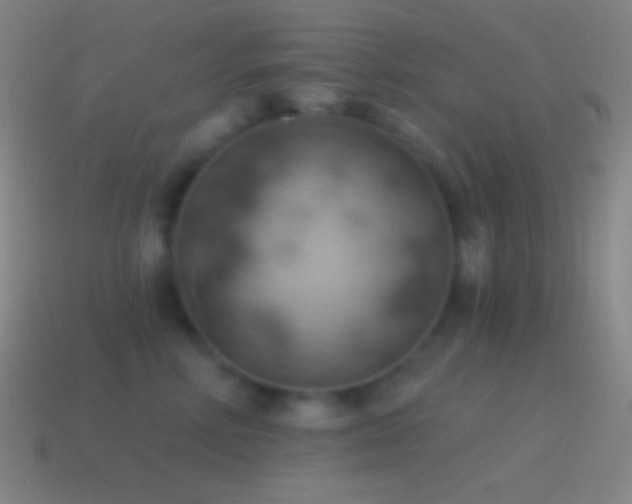 X0000115590618200911101239