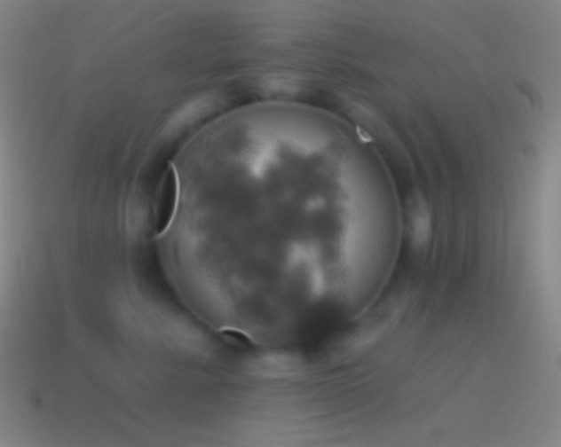 X0000115590619200911101239