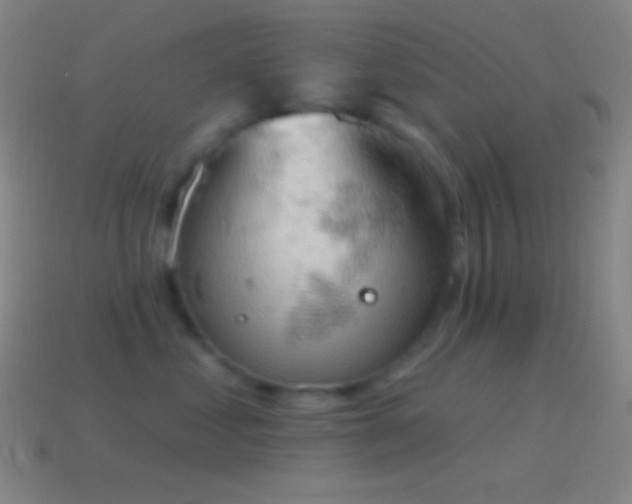 X0000115590621200911101239