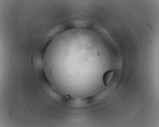 X0000115590622200911101239