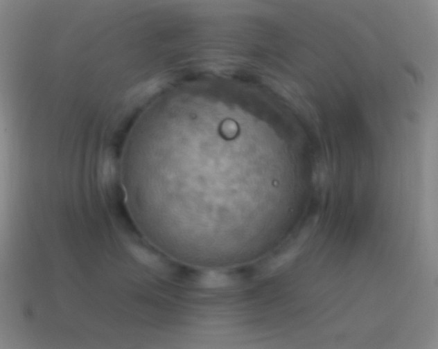 X0000115590623200911101239