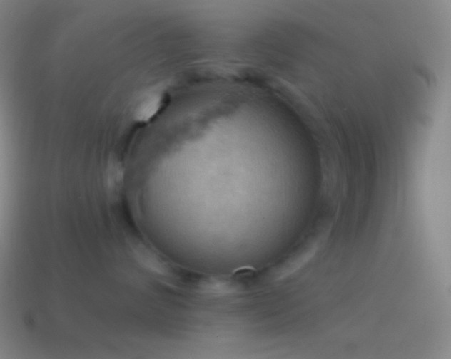 X0000115590624200911101239