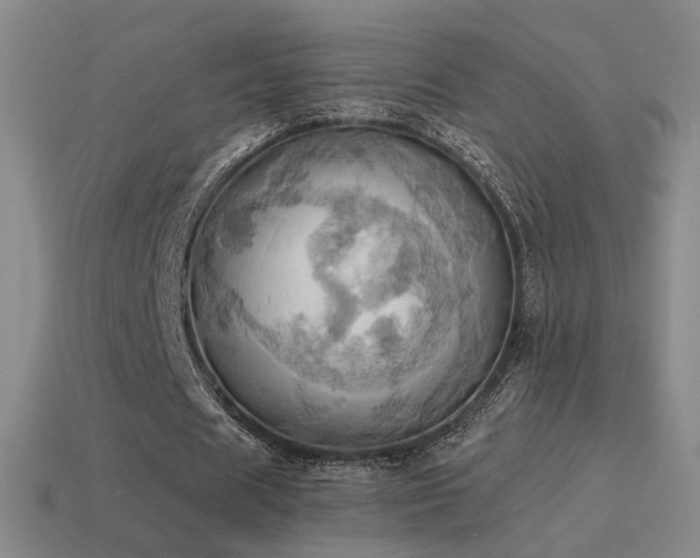 X0000115590625200911101239