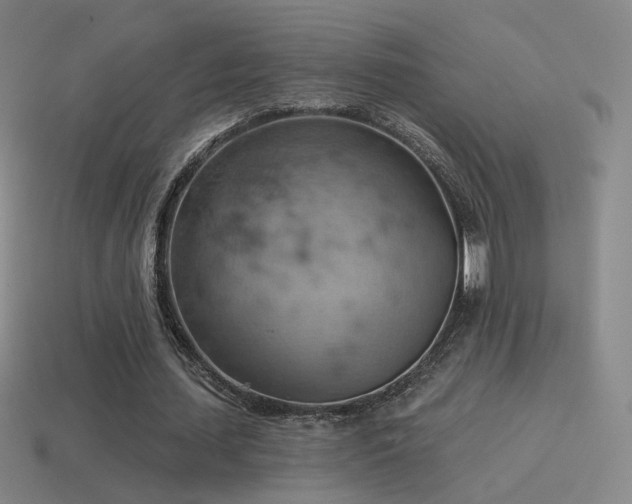 X0000115590627200911101239