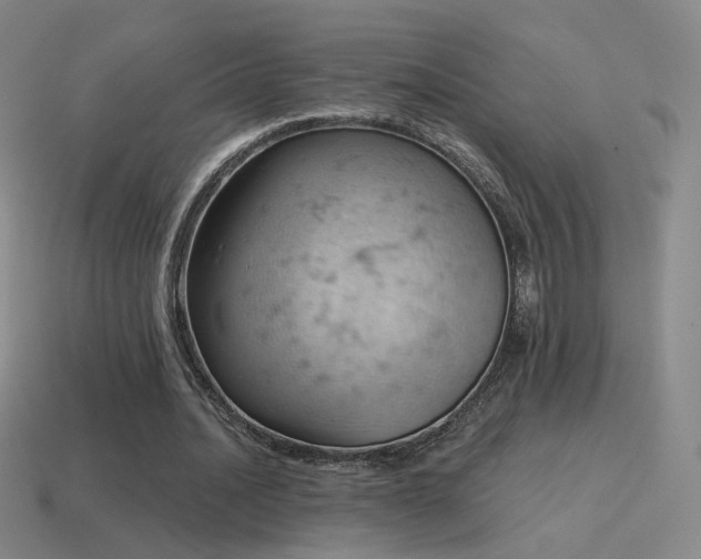 X0000115590628200911101239