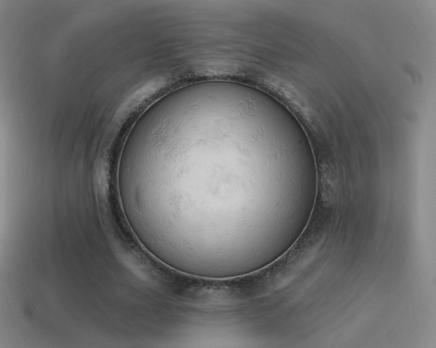 X0000115590631200911101239