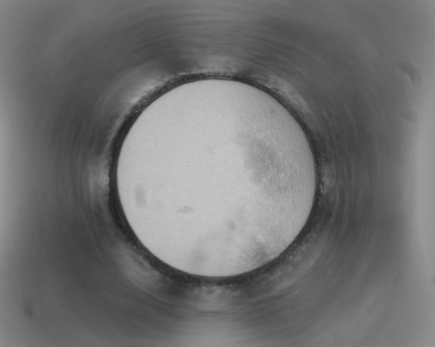 X0000115590632200911101239