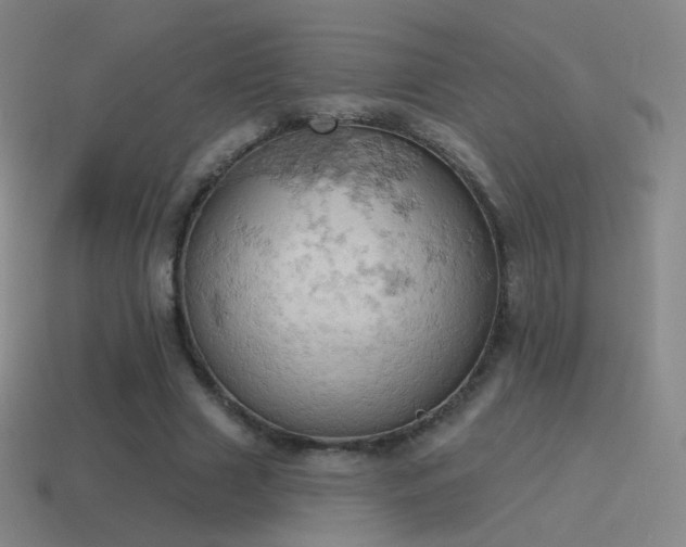 X0000115590633200911101239