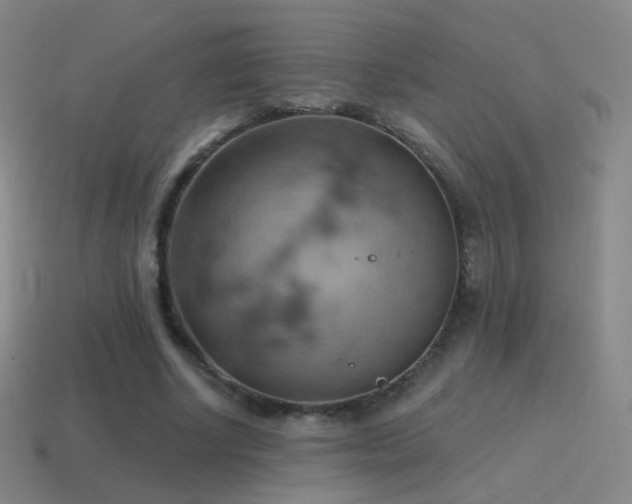 X0000115590634200911101239