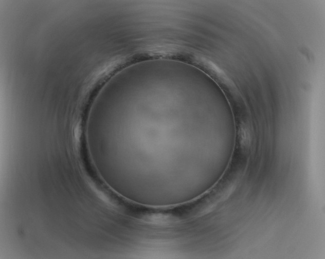 X0000115590637200911101239