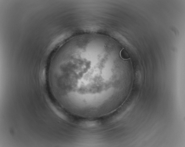 X0000115590638200911101239