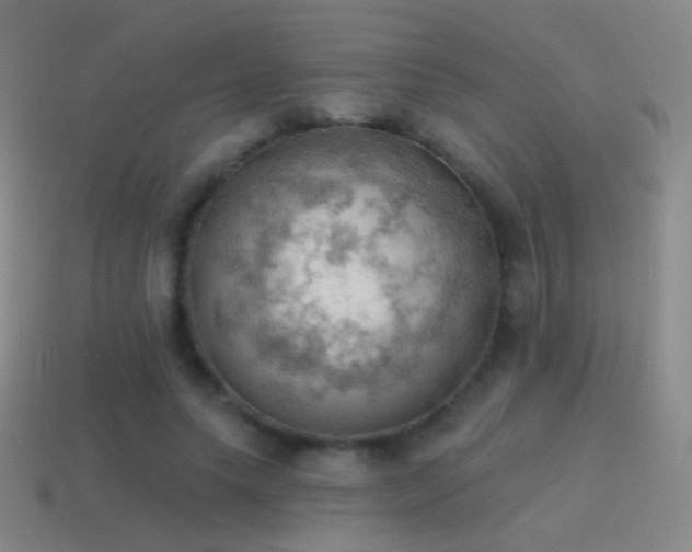 X0000115590639200911101239