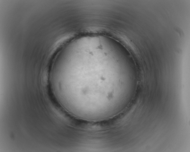 X0000115590640200911101239