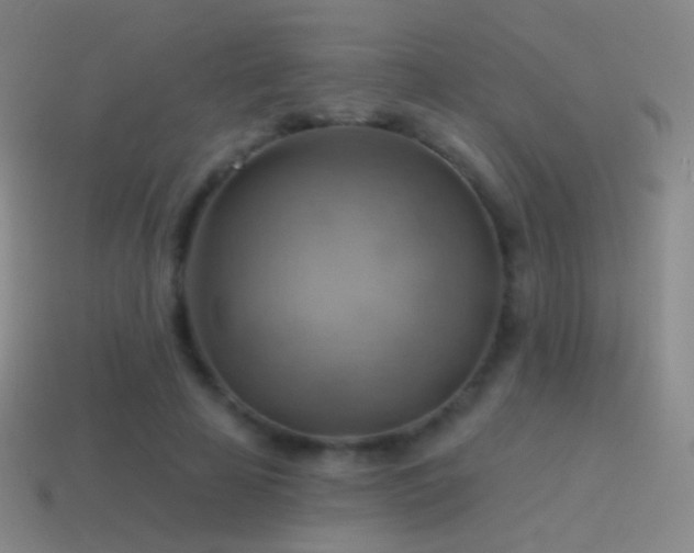 X0000115590641200911101239